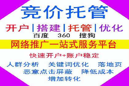SEM运营公司成功案例解析